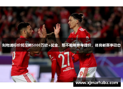 利物浦标价努涅斯5000万欧+奖金，那不勒斯参考提价，体育新赛事动态